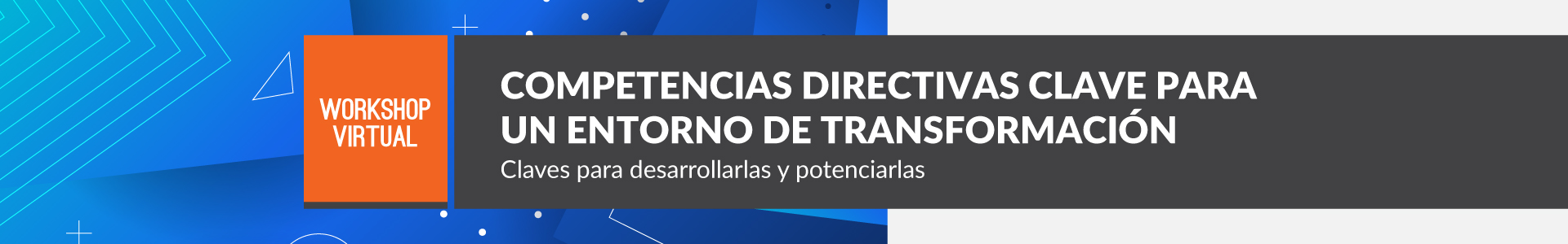 Intras Competencias Directivas Clave Para Un Entorno De Transformacion